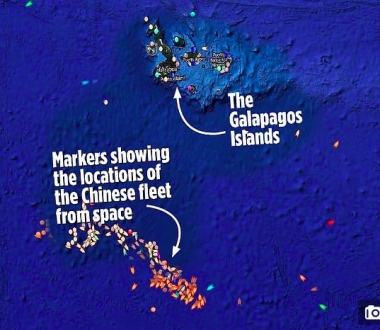 Hàng trăm tàu cá Trung Quốc 'quần thảo' vùng biển quanh quần đảo Galapagos